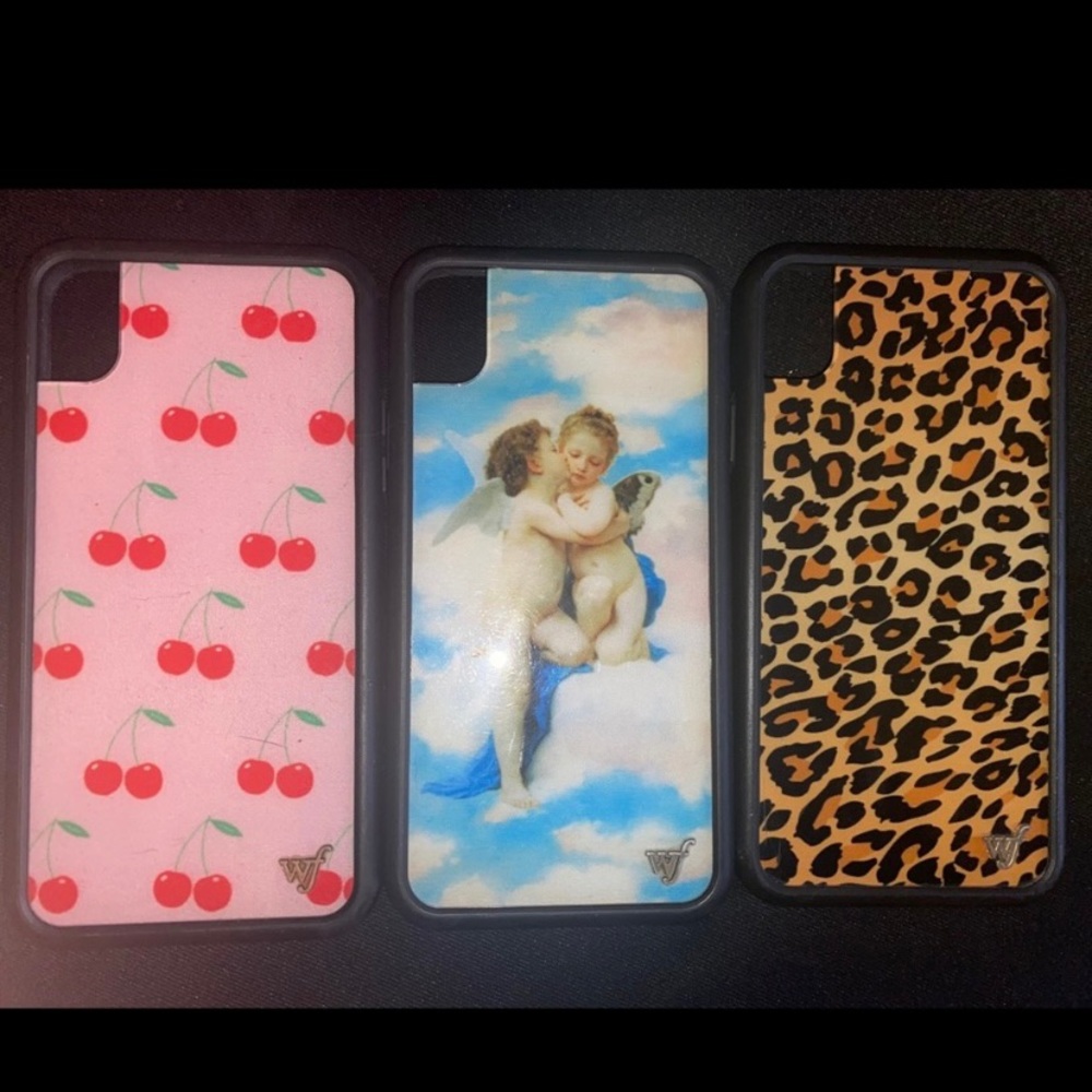 Wildflower iPhone XR Cases (2)